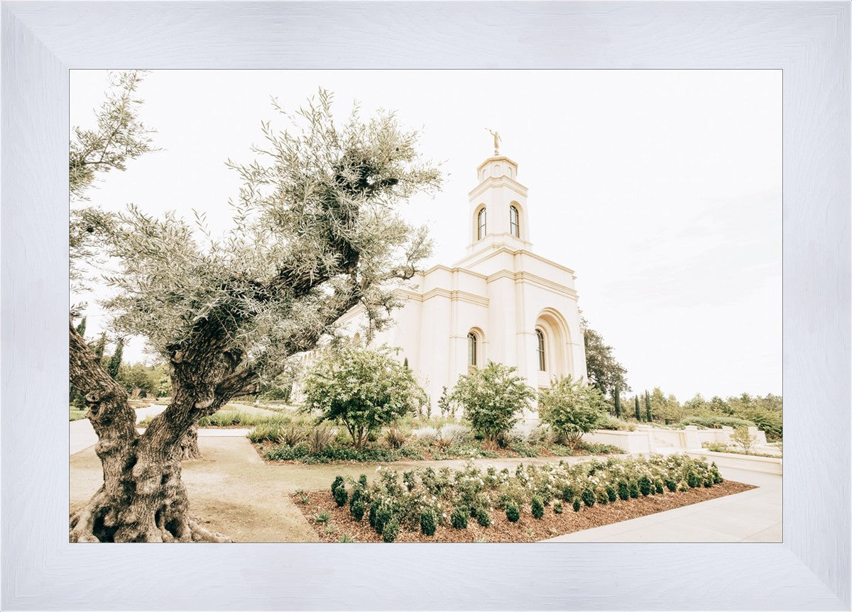 Feather River California Serenity