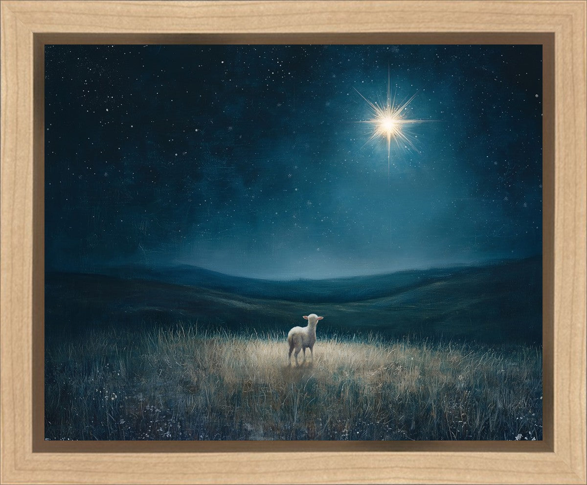 Star of Bethlehem Gallery Wrap