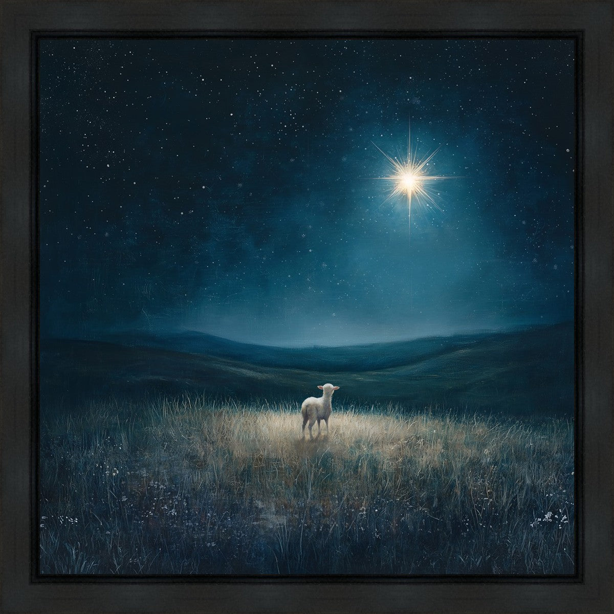 Star of Bethlehem Gallery Wrap