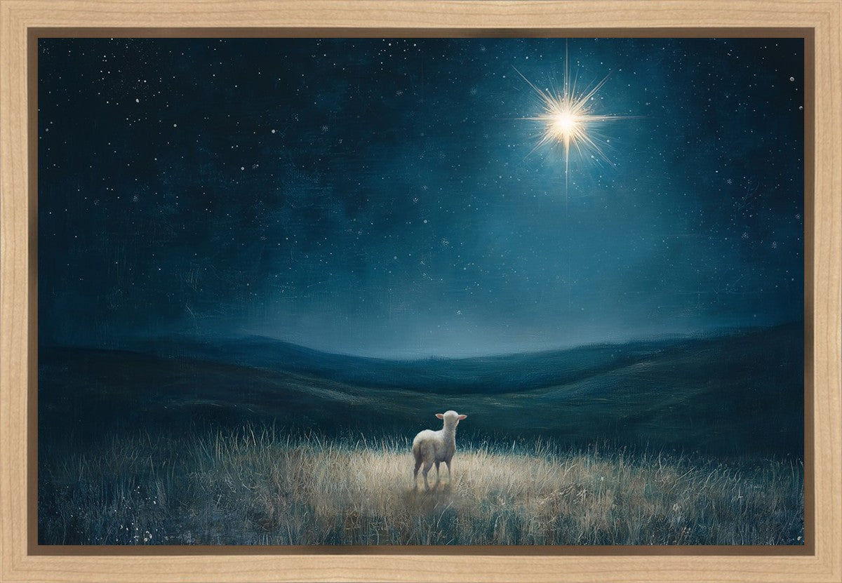 Star of Bethlehem Gallery Wrap