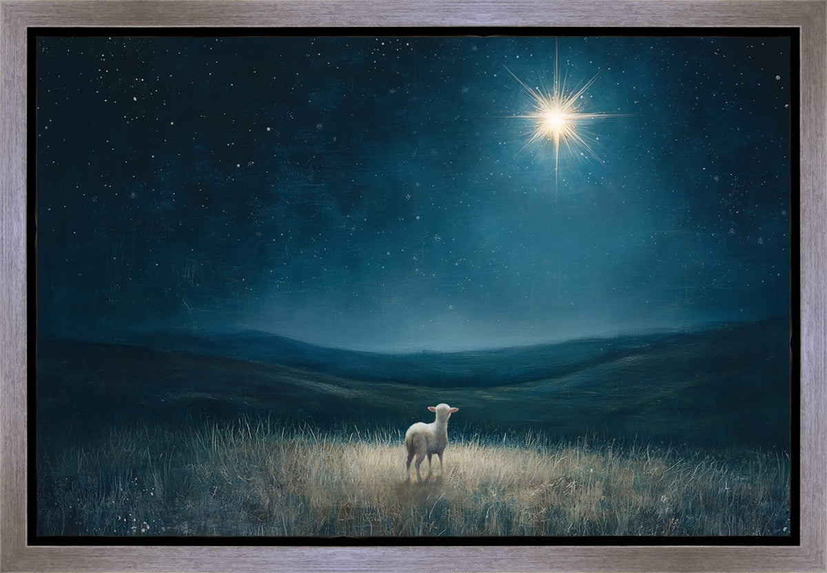 Star of Bethlehem Gallery Wrap