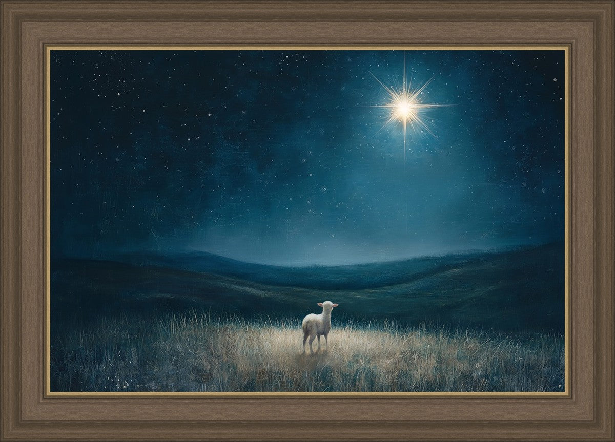 Star of Bethlehem