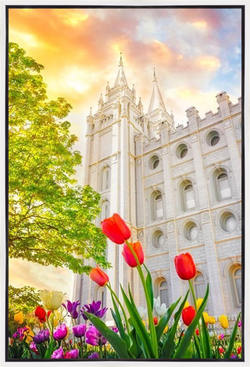 Salt Lake Spring Tulips