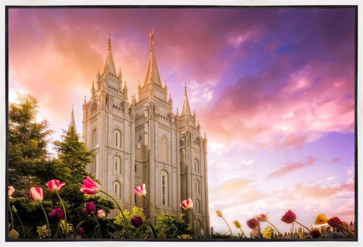 Salt Lake Tulips