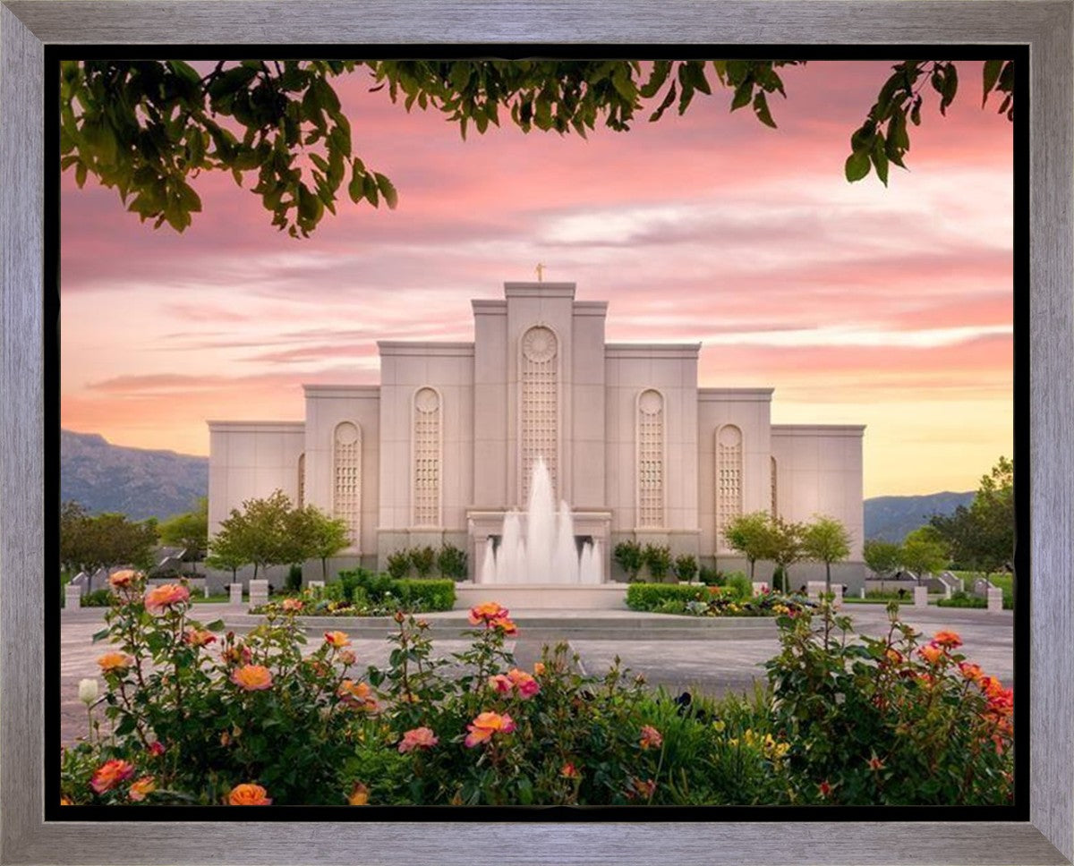 Albuquerque Morning Rose