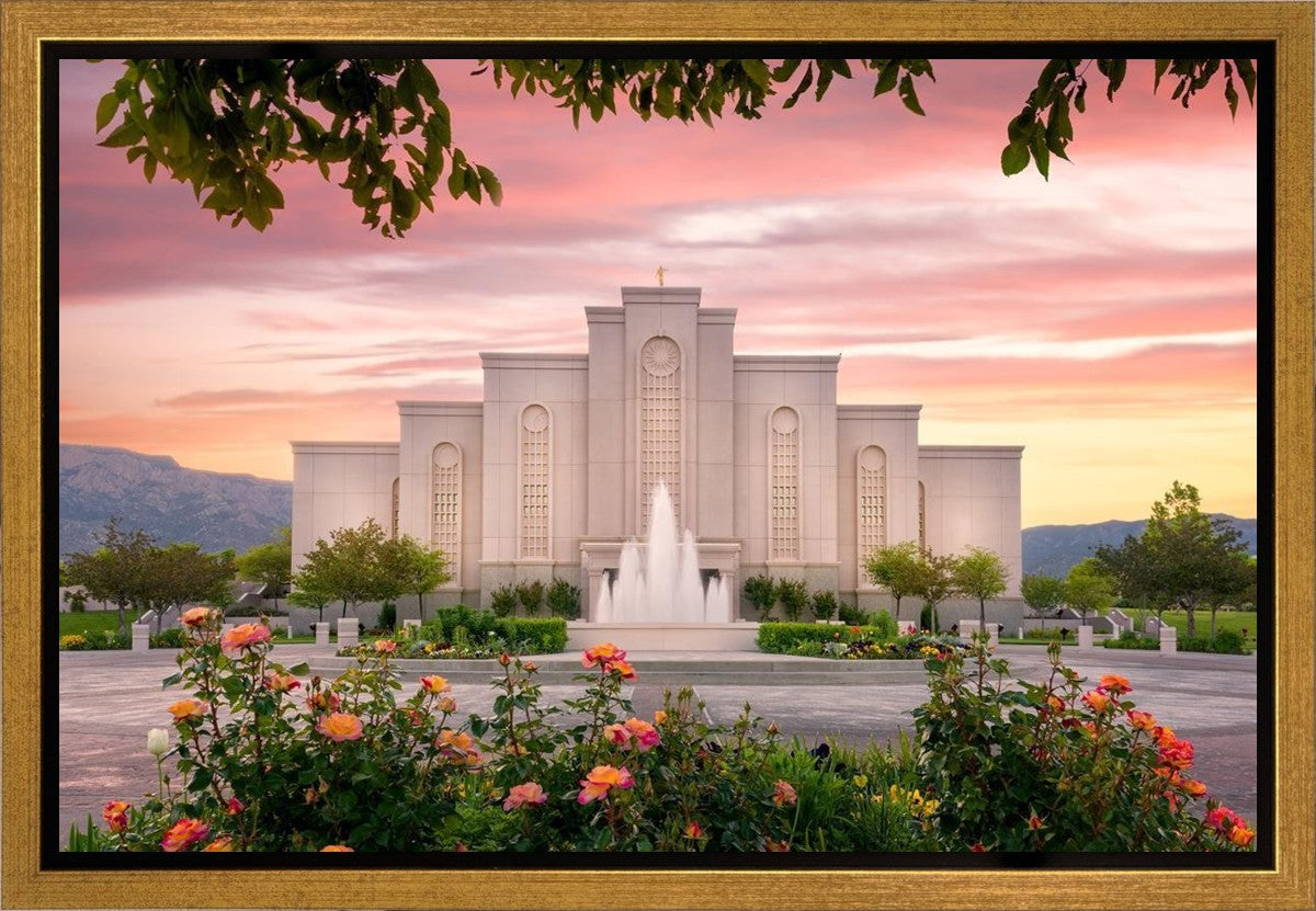 Albuquerque Morning Rose