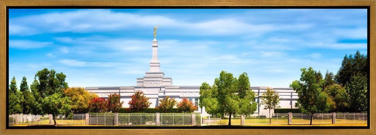 Fresno Day Panorama