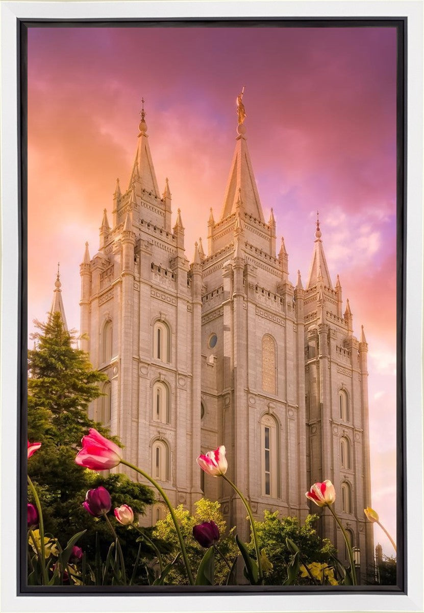 Salt Lake Tulips