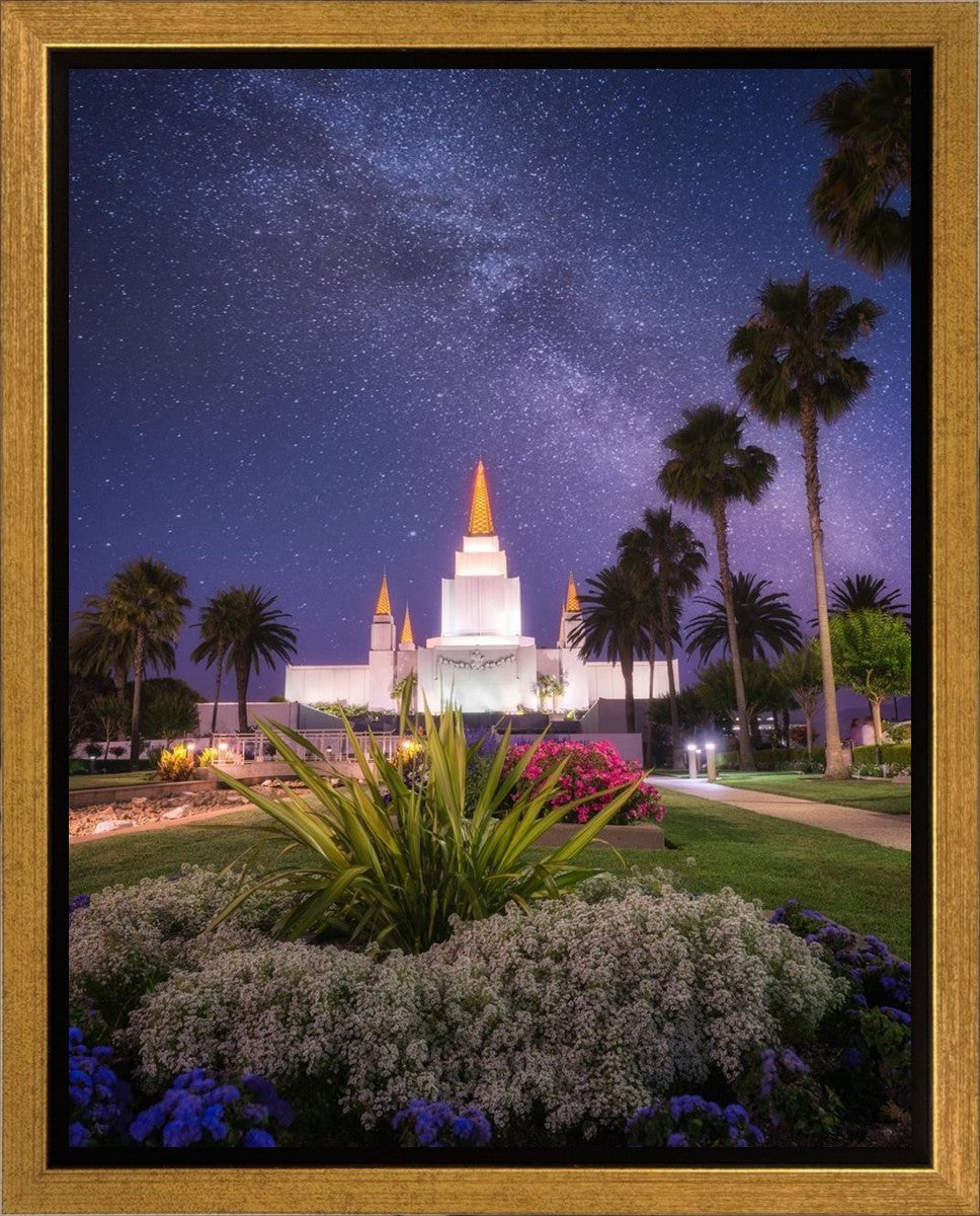 Oakland Starry Eyed