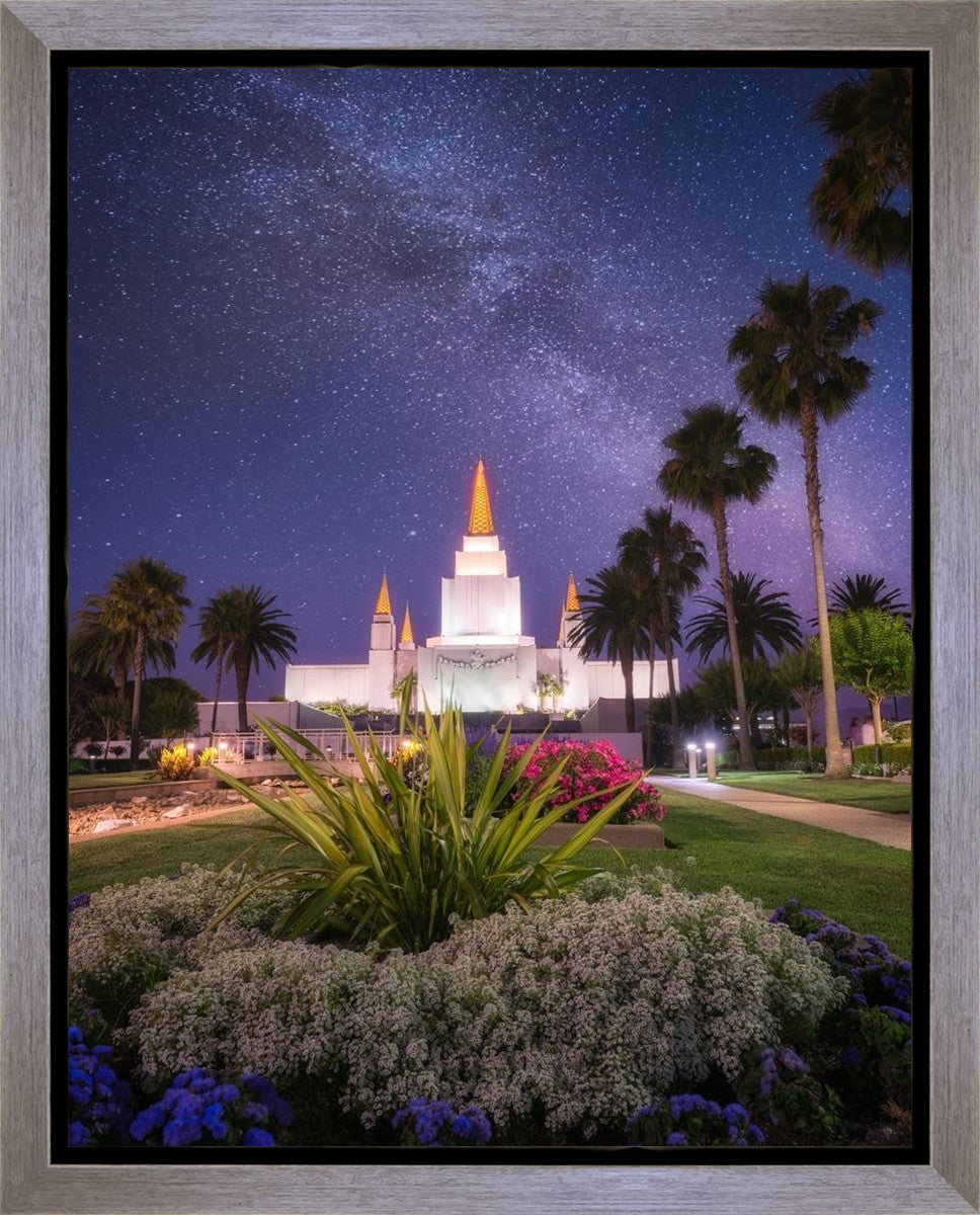 Oakland Starry Eyed