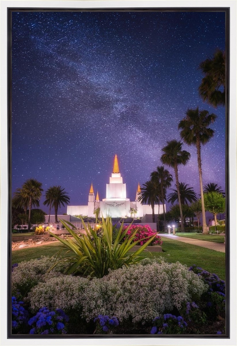 Oakland Starry Eyed