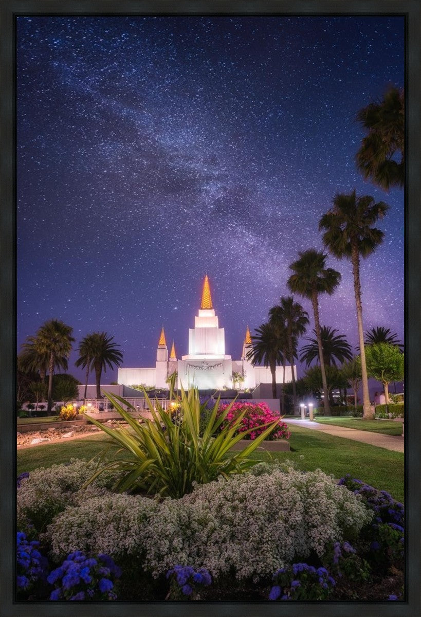 Oakland Starry Eyed