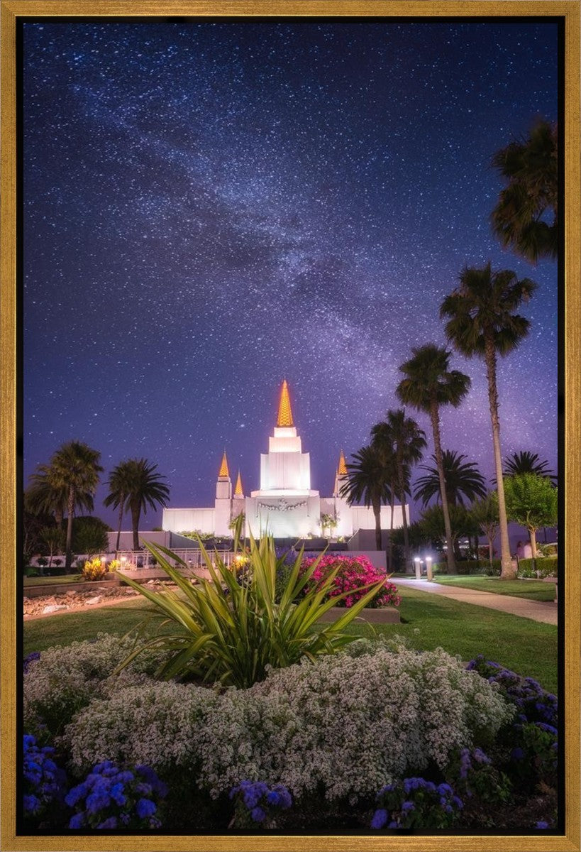 Oakland Starry Eyed