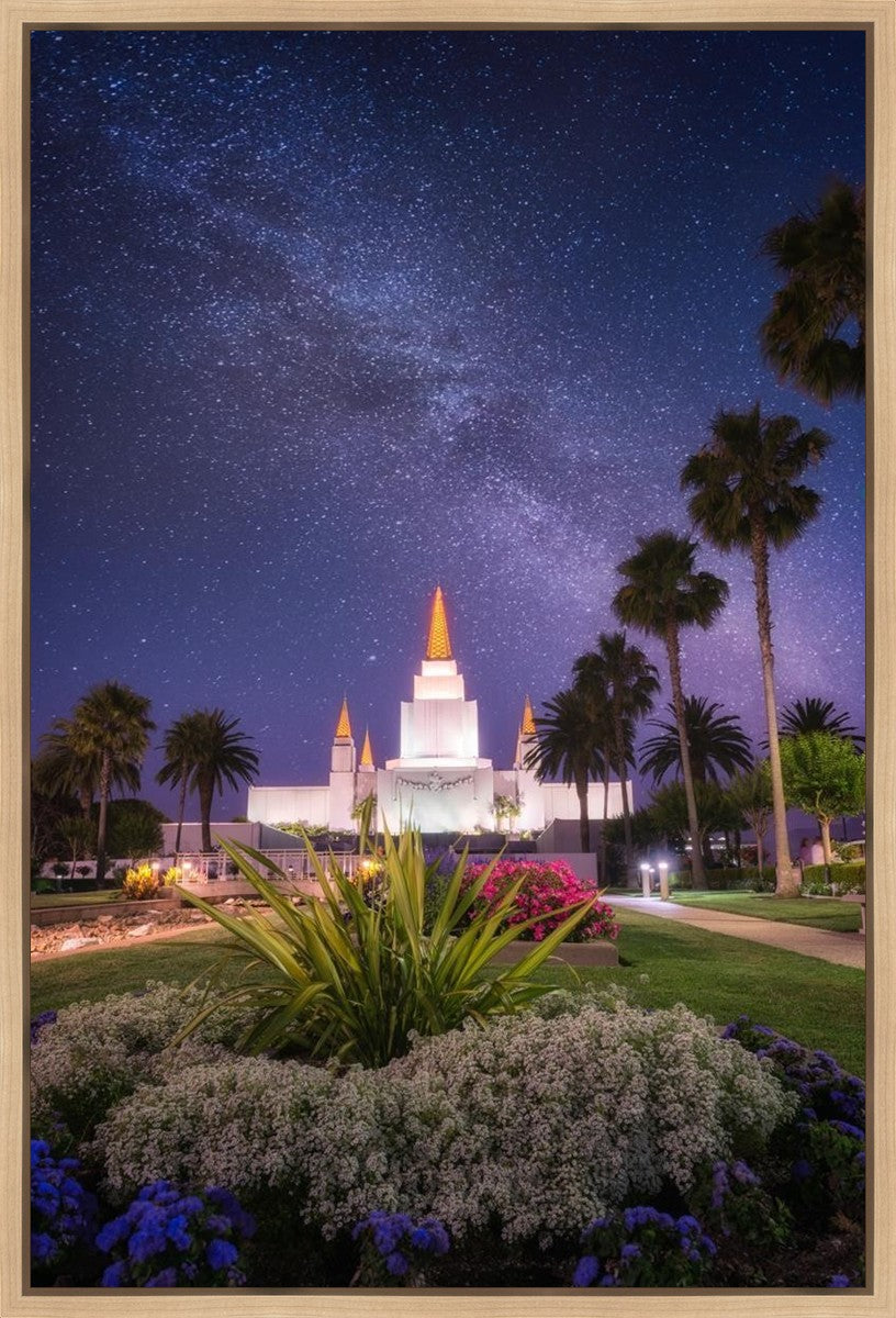 Oakland Starry Eyed