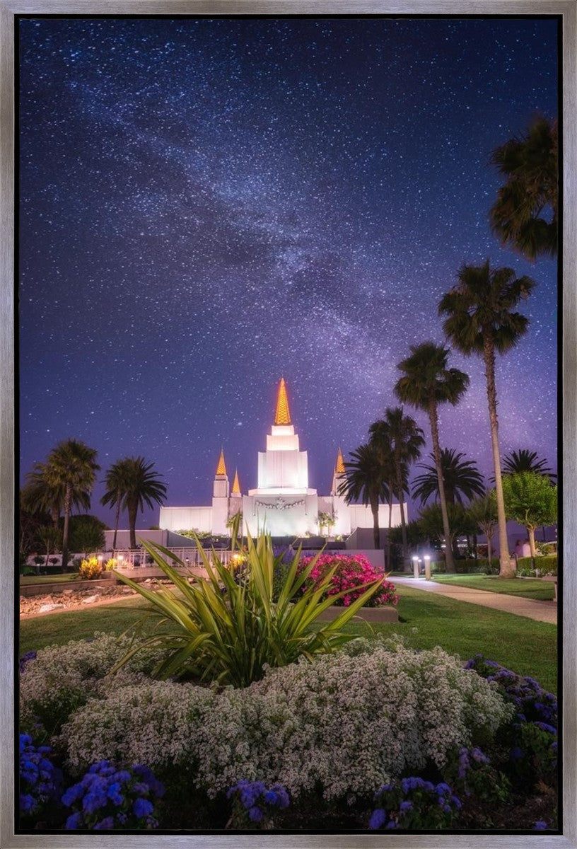 Oakland Starry Eyed
