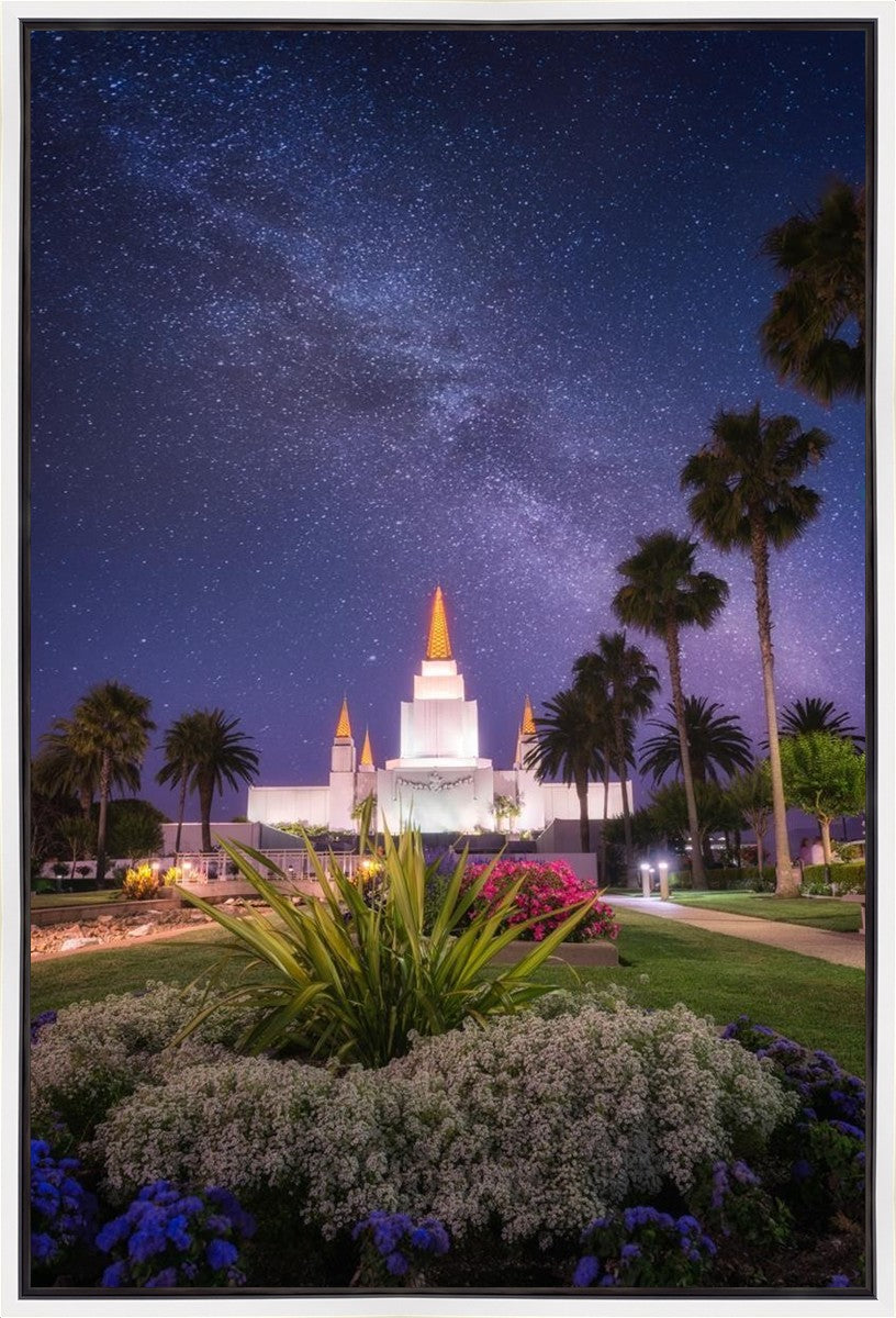 Oakland Starry Eyed