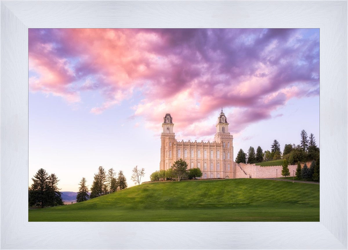 Manti Cotton Candy