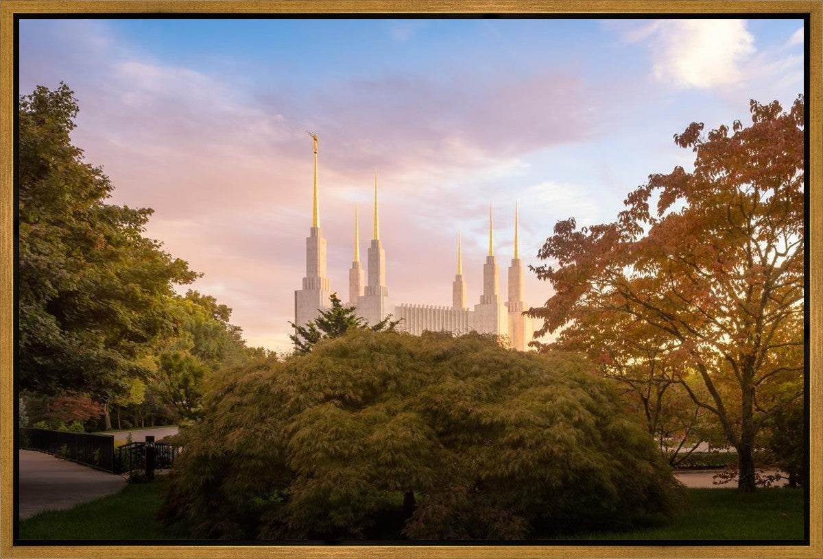 Washington DC Sunset Panorama