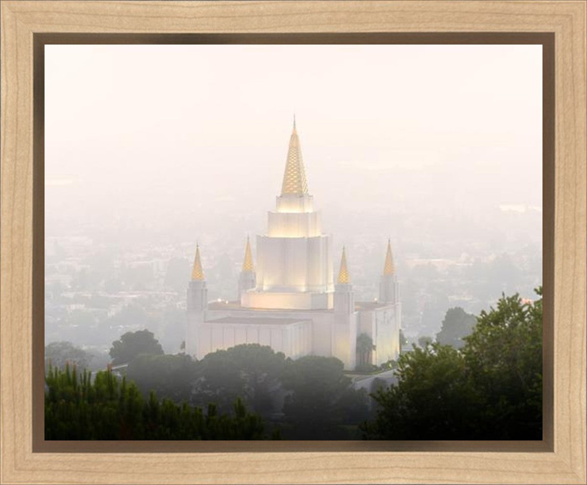 Foggy Oakland