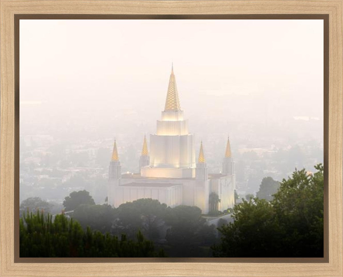 Foggy Oakland