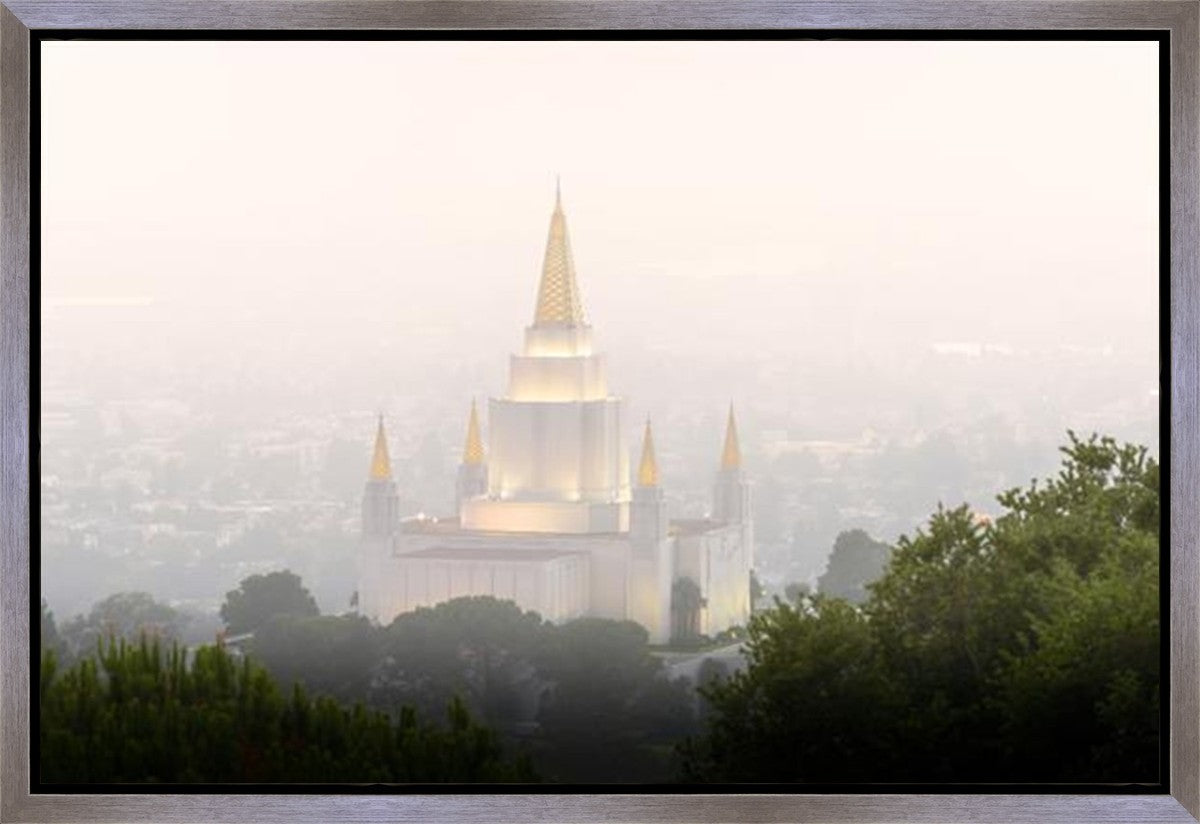 Foggy Oakland