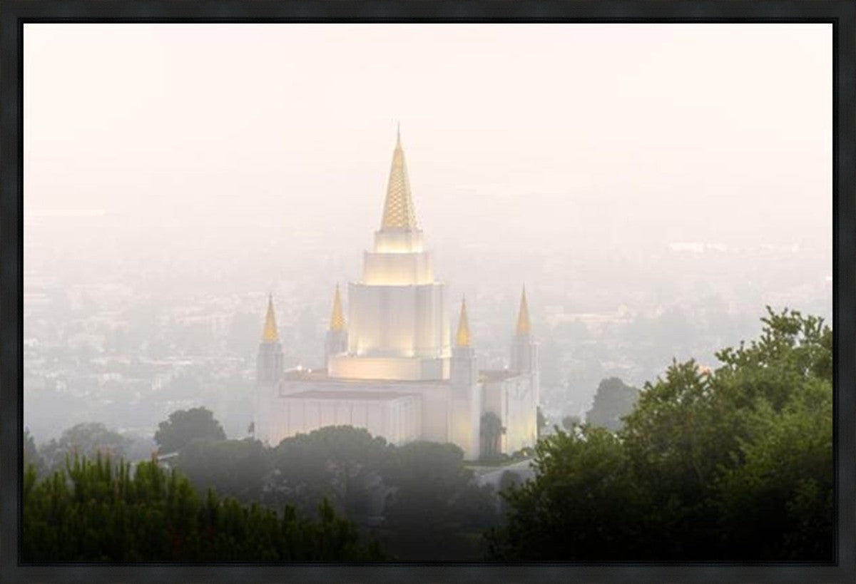 Foggy Oakland