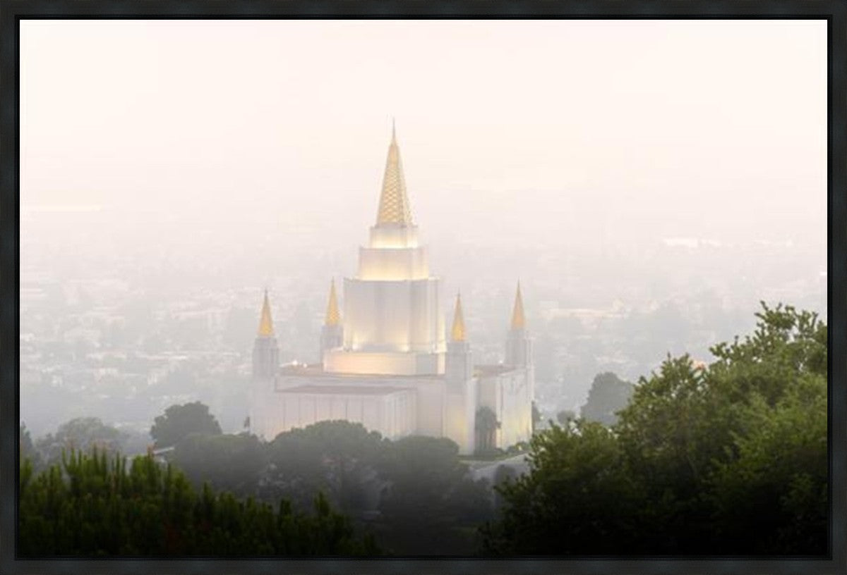 Foggy Oakland