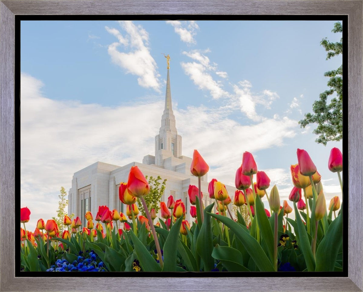 Ogden Flowers