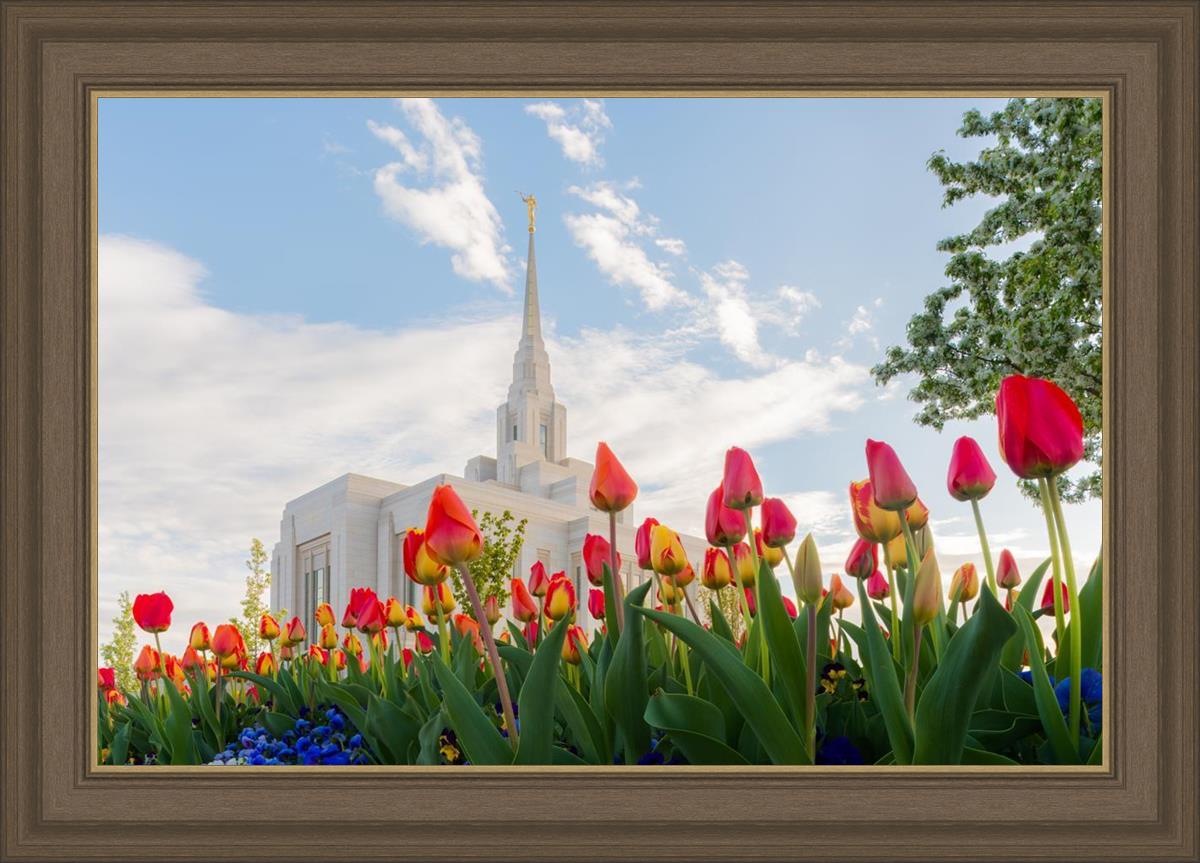 Ogden Flowers