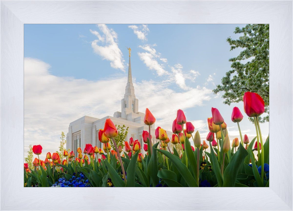 Ogden Flowers