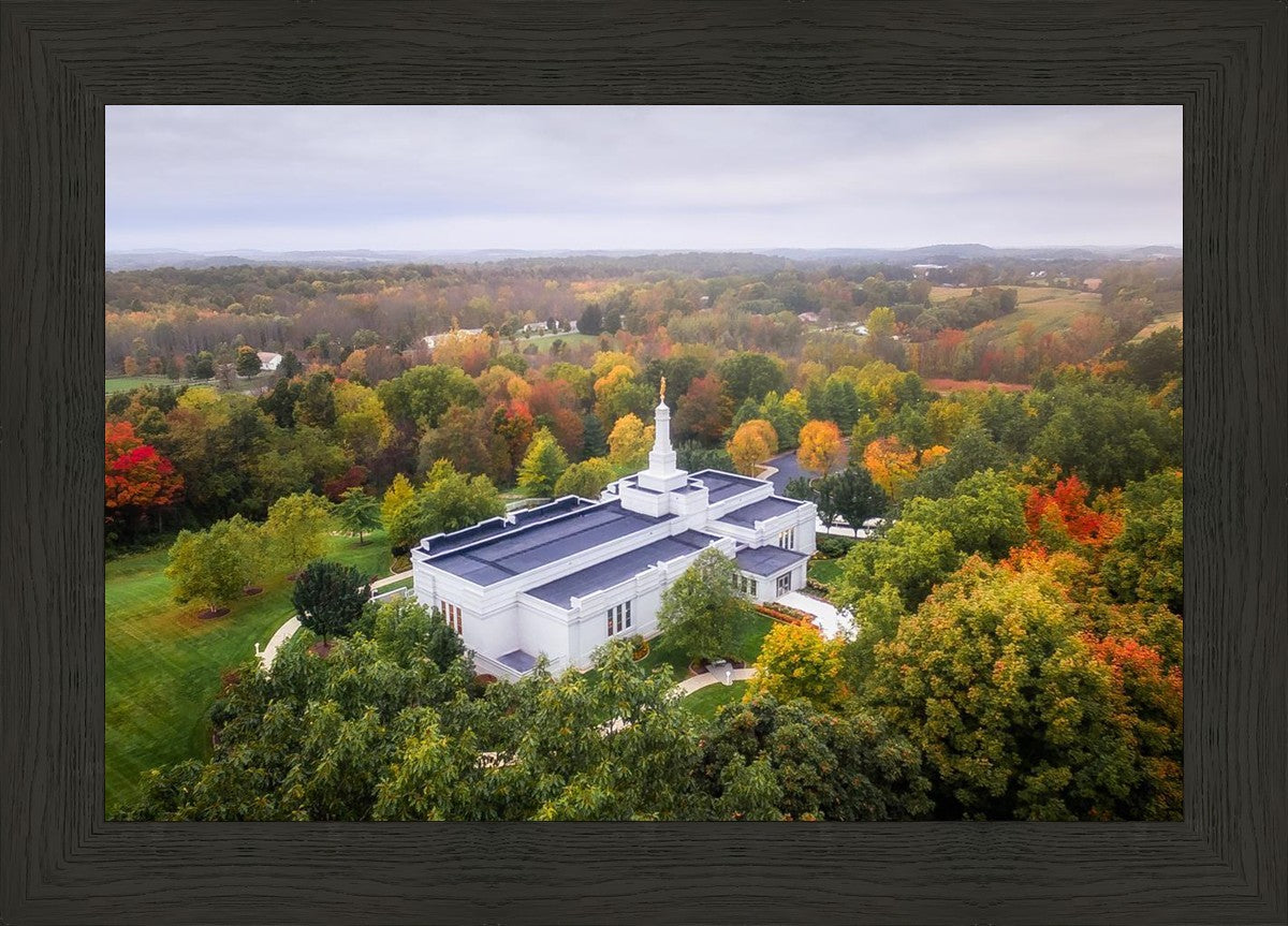 Palmyra and Sacred Grove Aerial