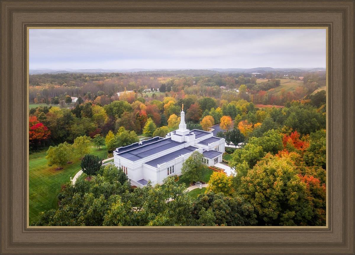 Palmyra and Sacred Grove Aerial
