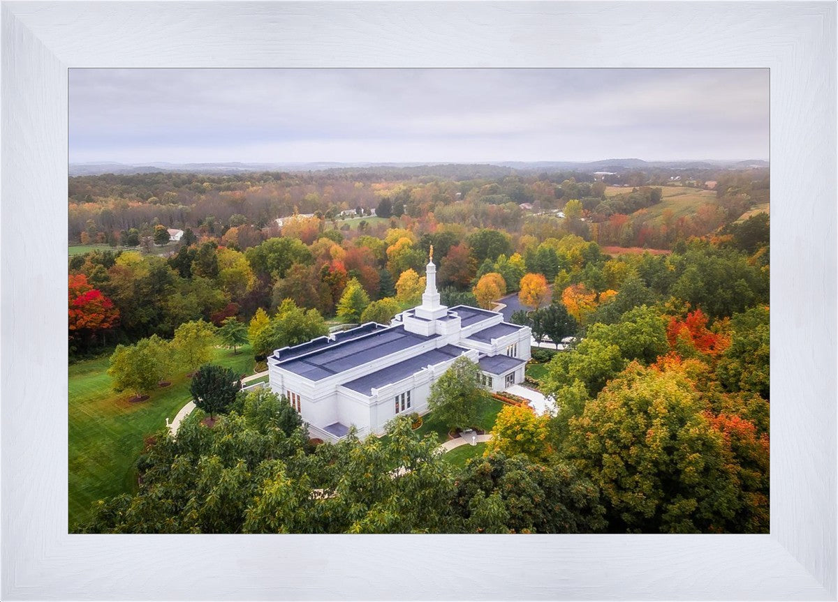 Palmyra and Sacred Grove Aerial