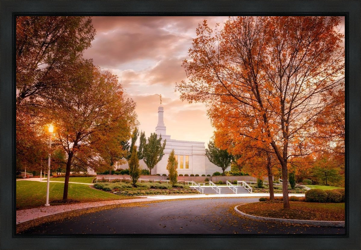 Palmyra Autumn