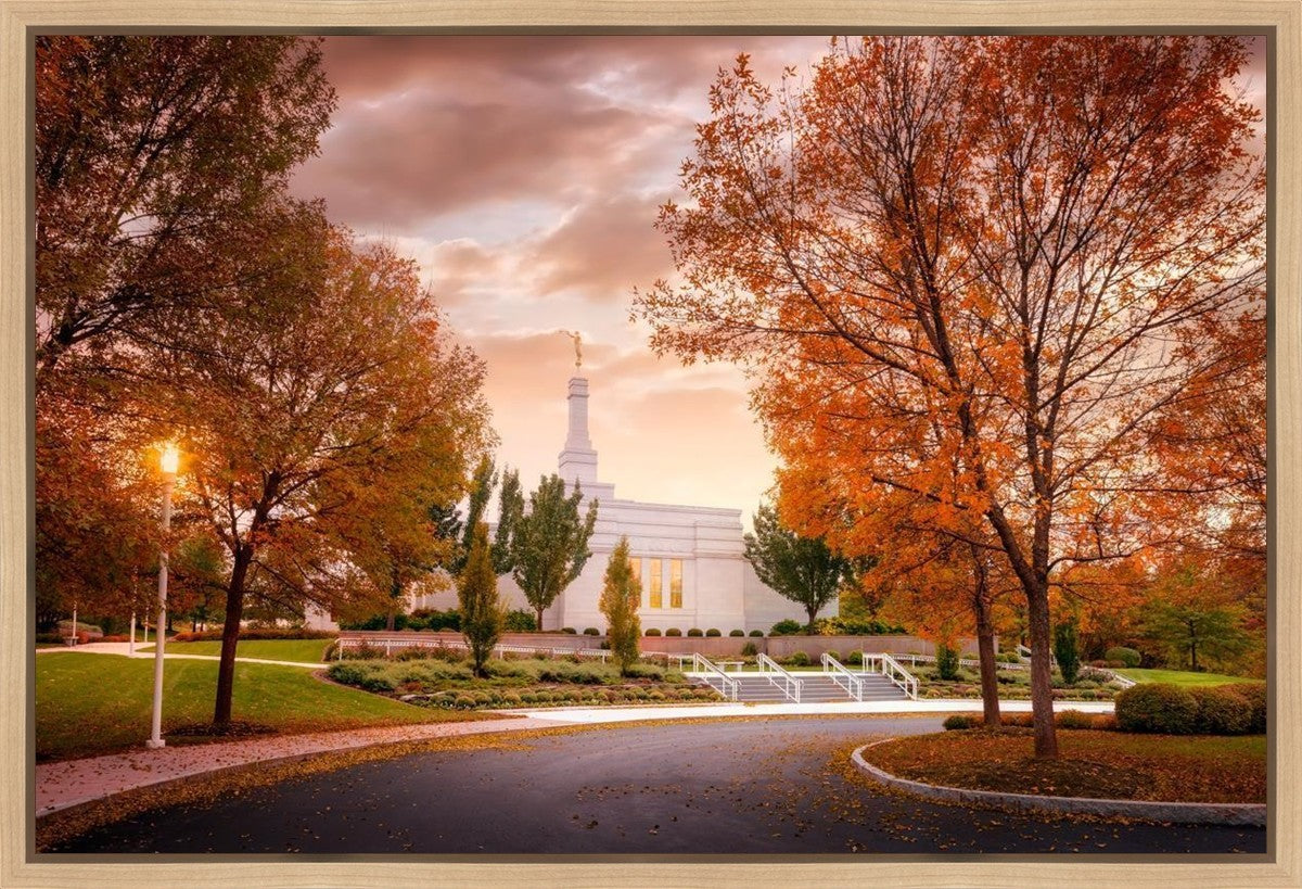 Palmyra Autumn