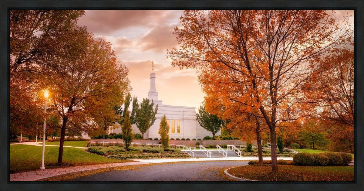 Palmyra Autumn
