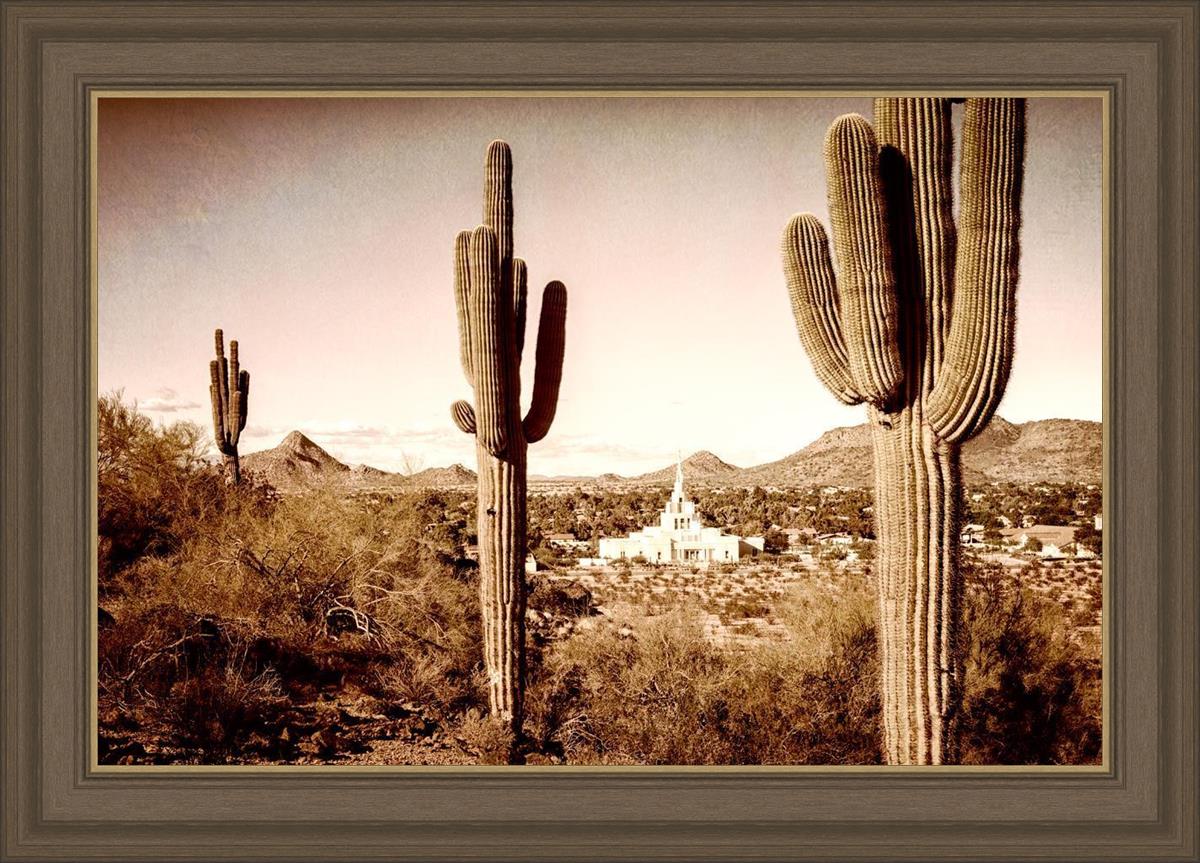 Phoenix Saguaro Cactus