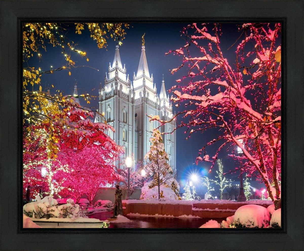 Salt Lake City Christmas Lights