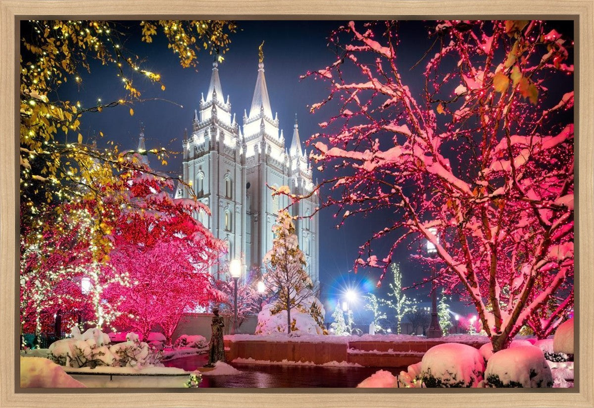 Salt Lake City Christmas Lights