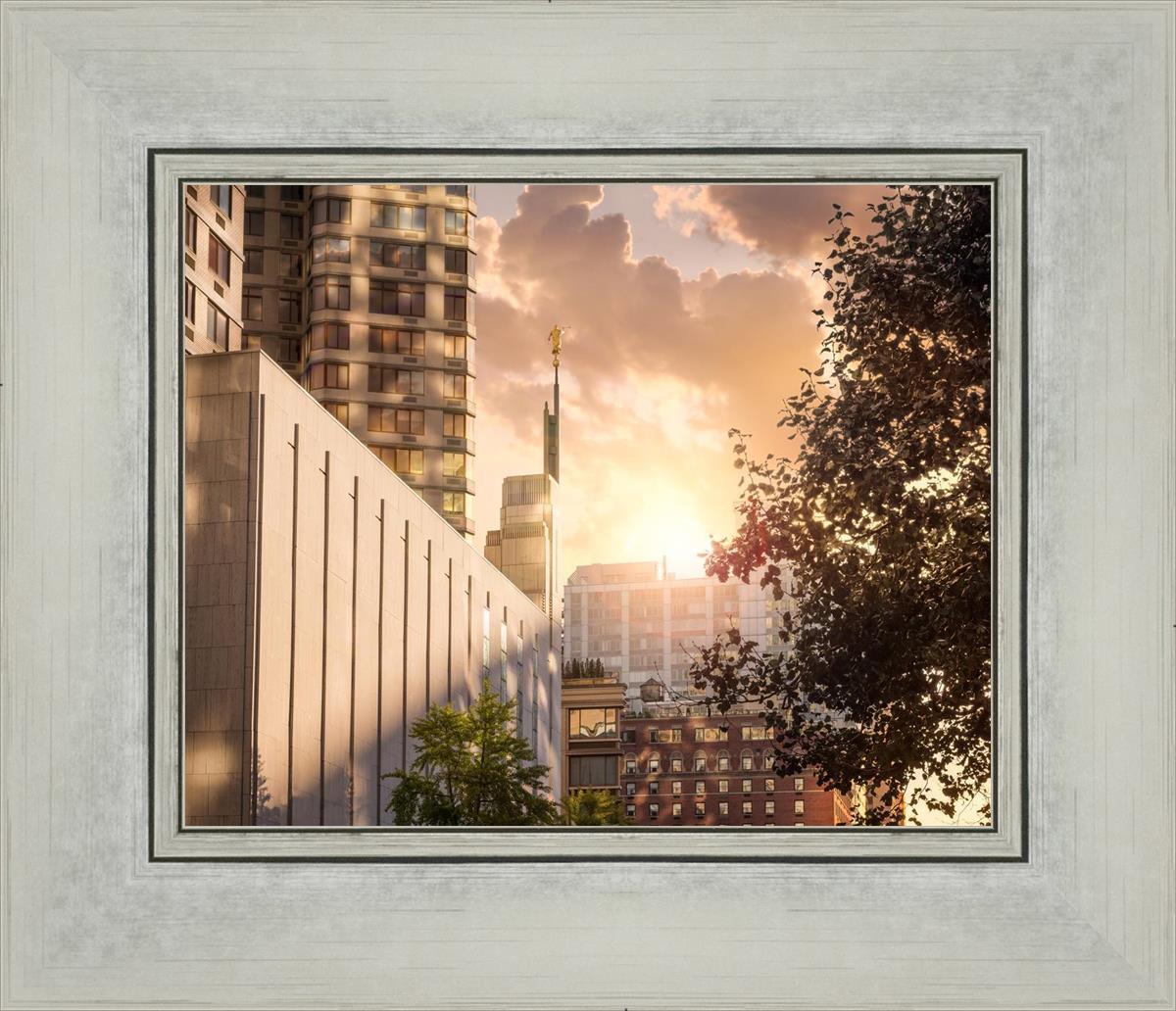 Manhattan Solace
