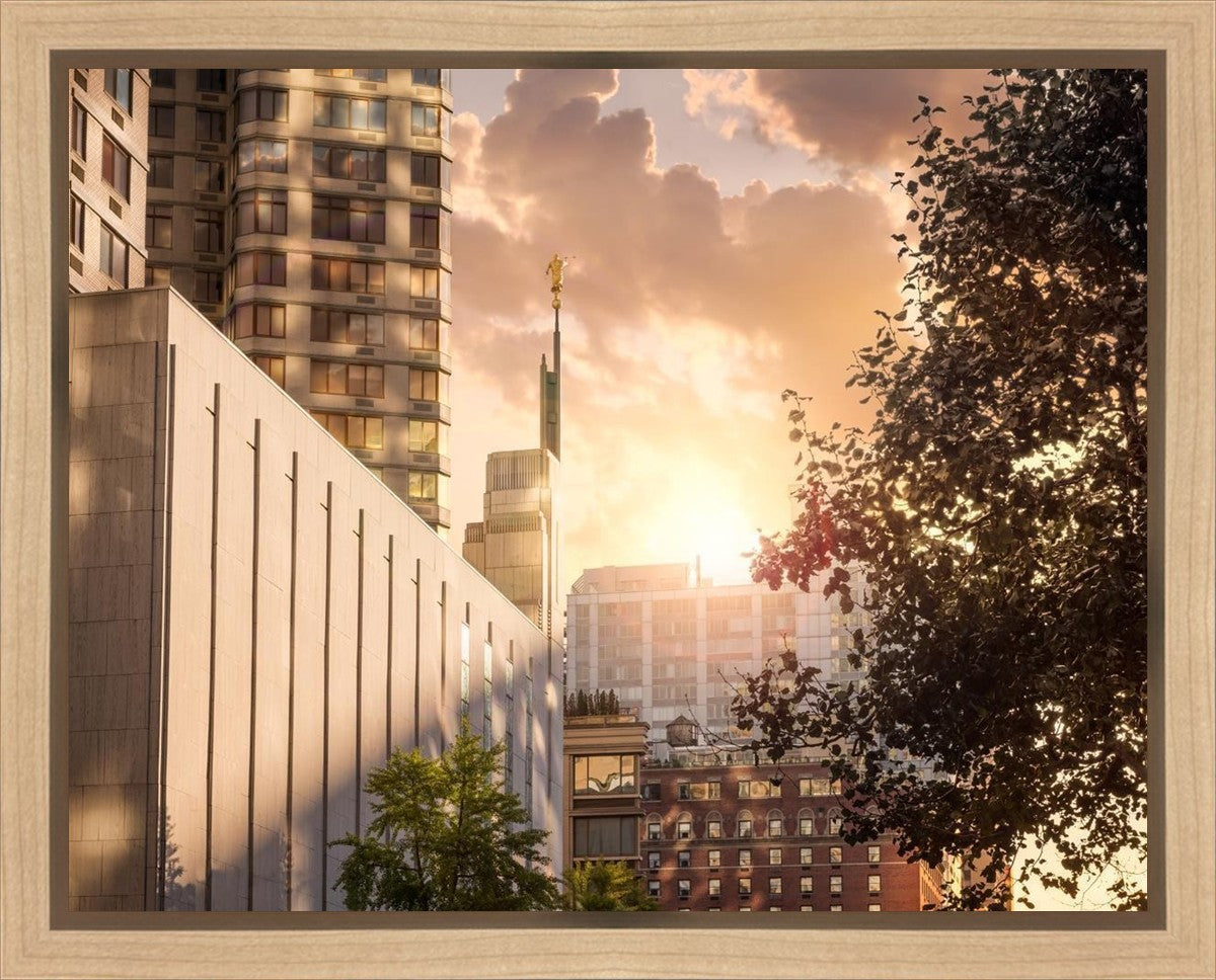 Manhattan Solace