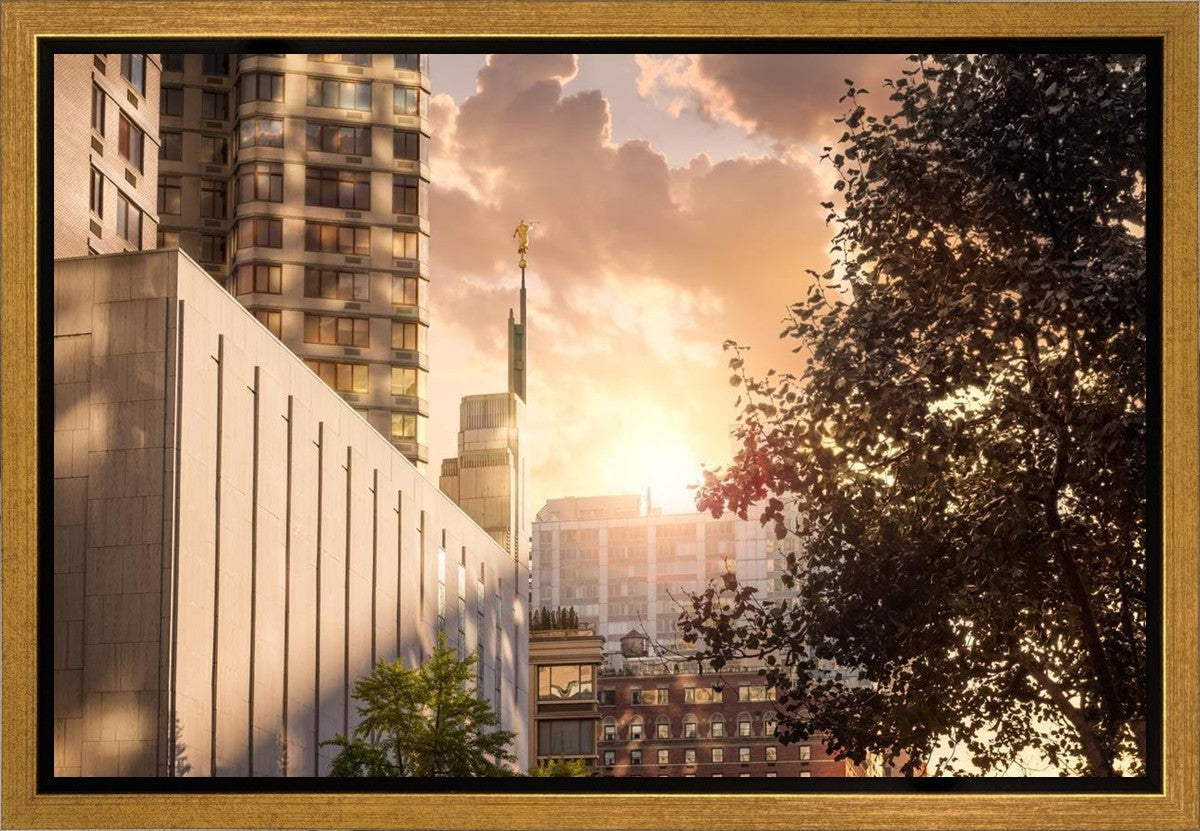 Manhattan Solace