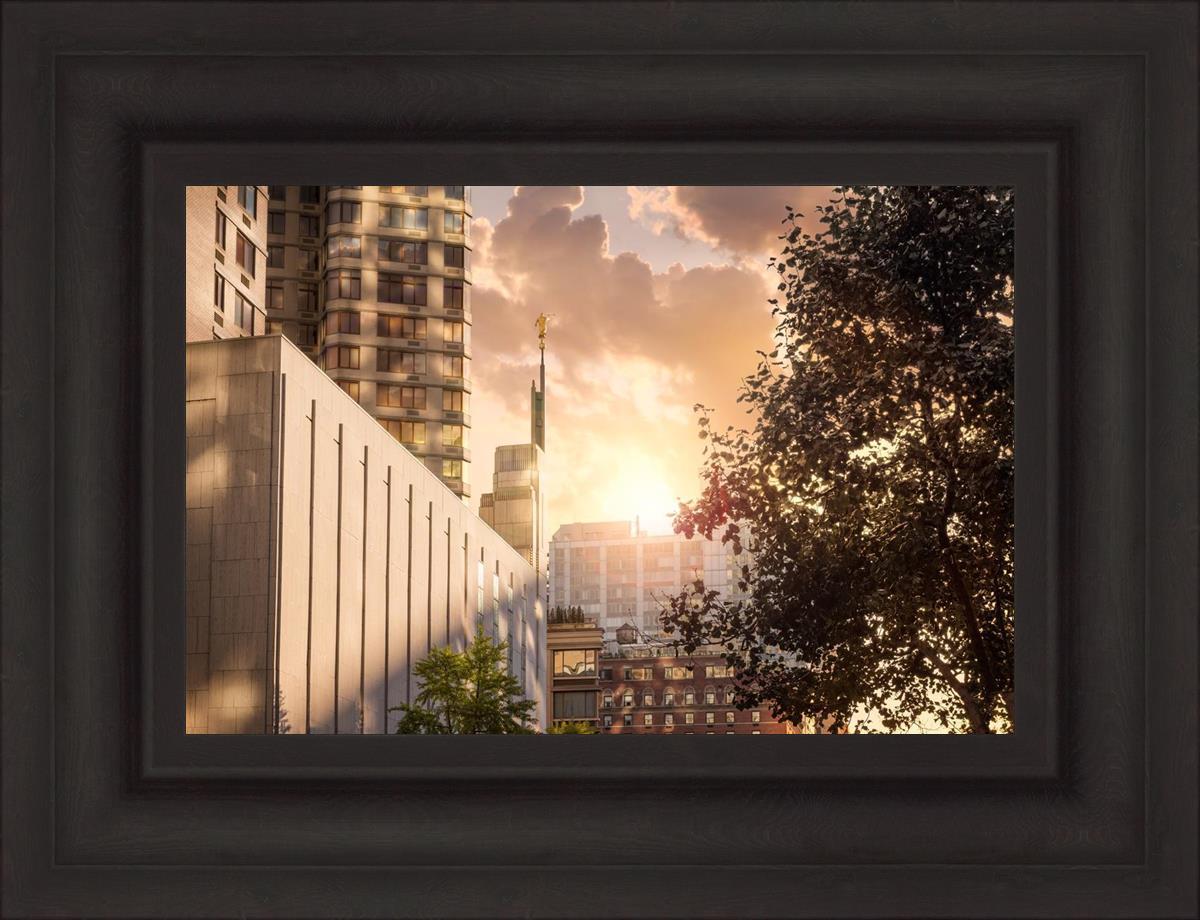 Manhattan Solace