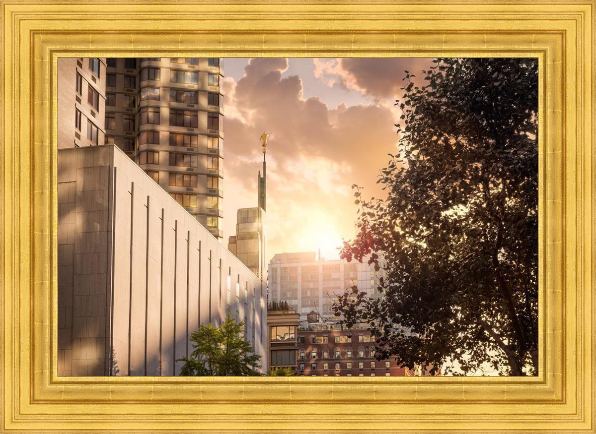 Manhattan Solace