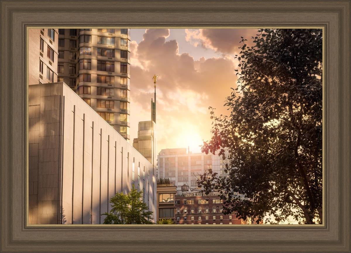 Manhattan Solace