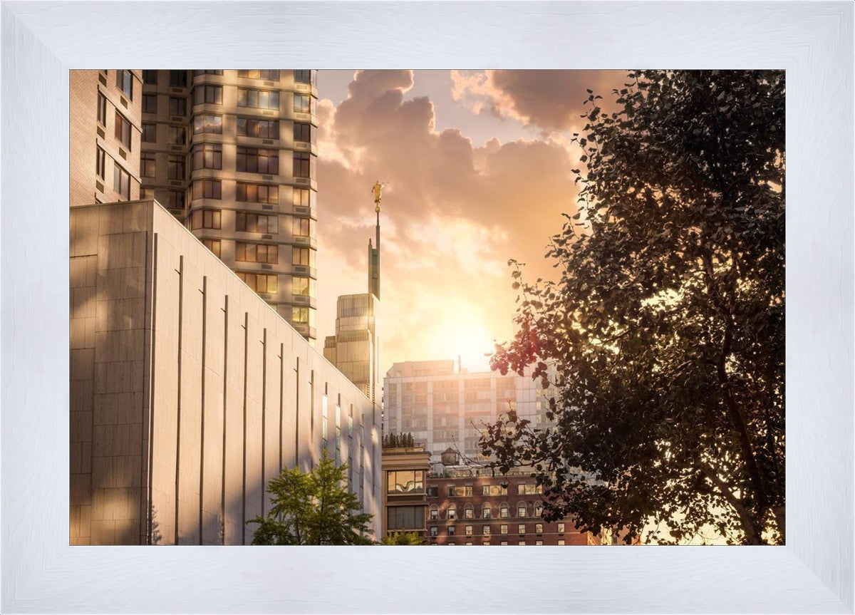 Manhattan Solace