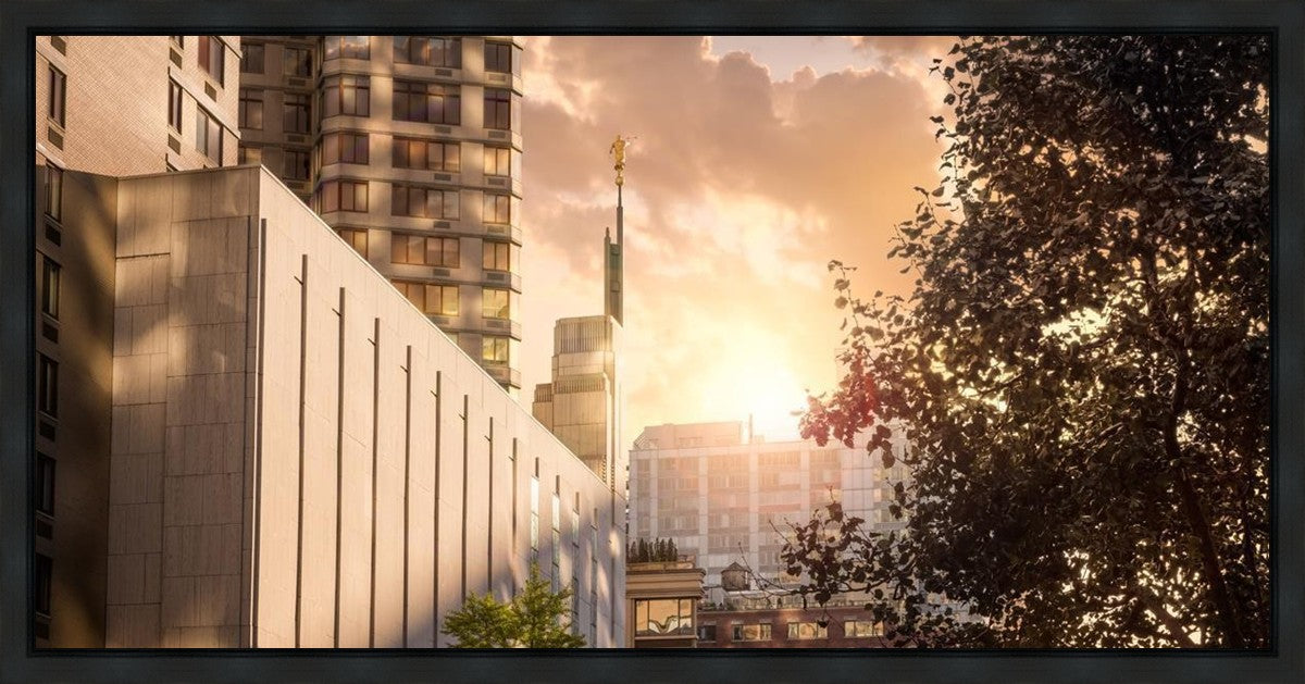 Manhattan Solace