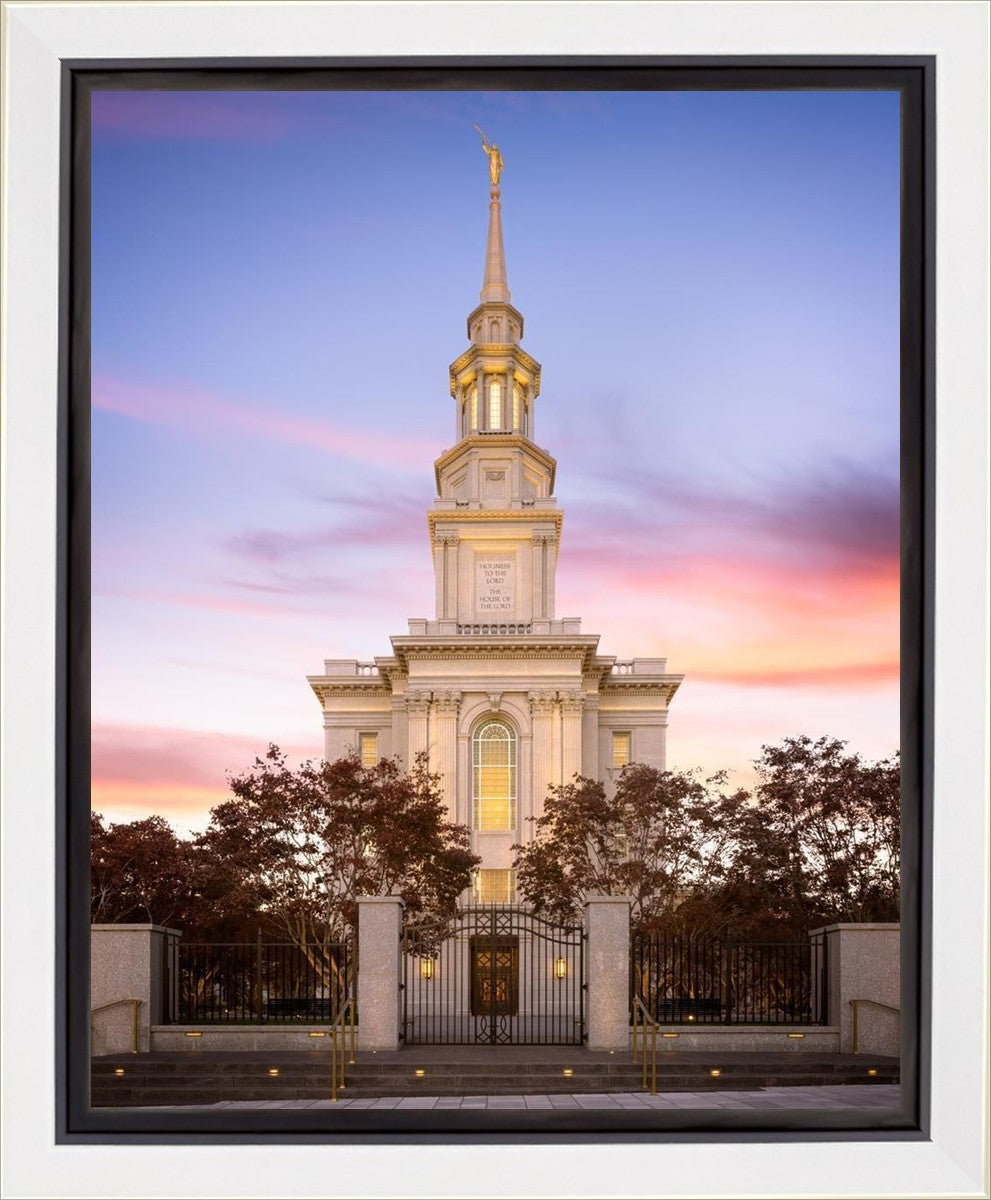 Philadelphia Liberty Skies