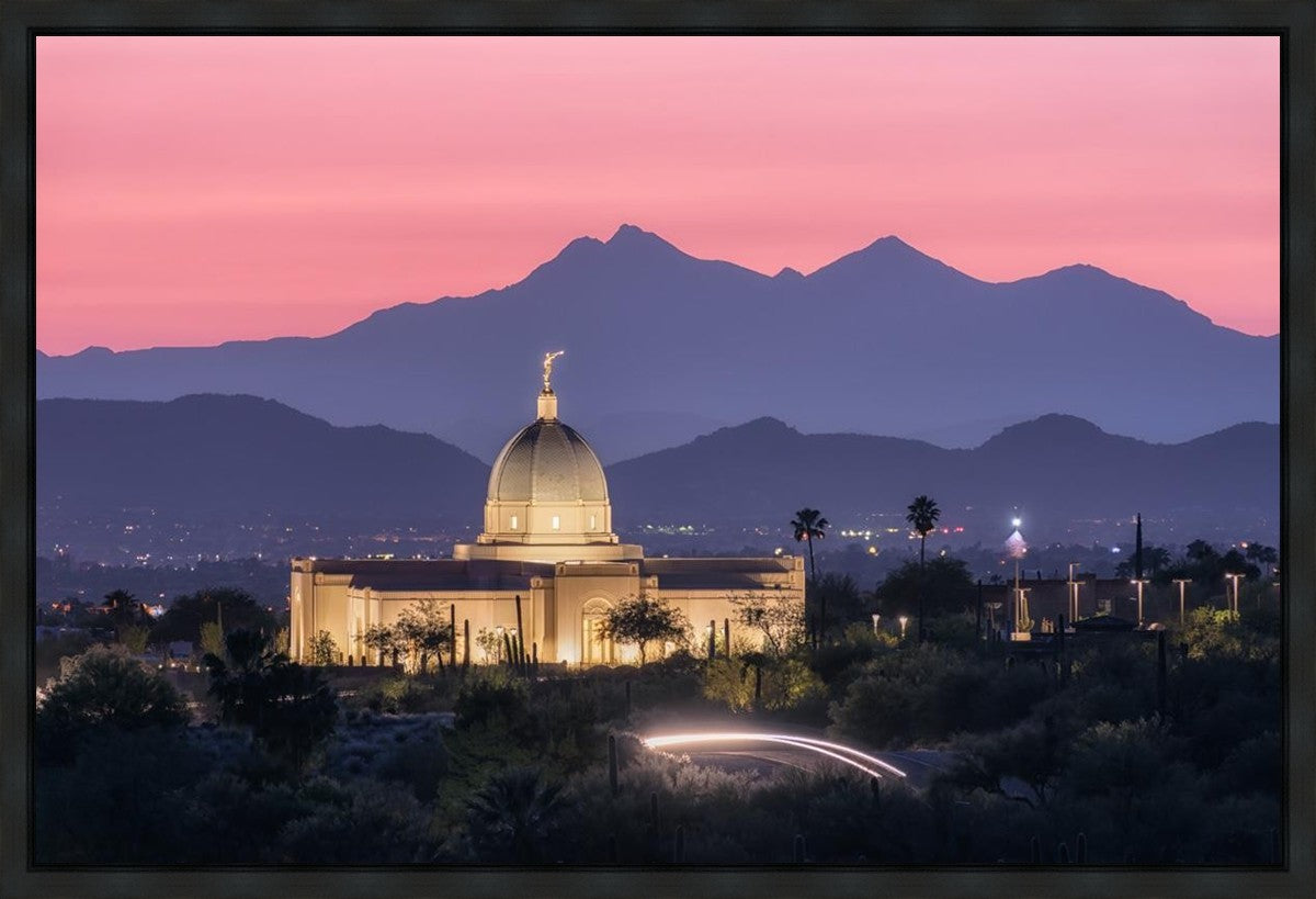 Tucson Purple Mountain Majesty