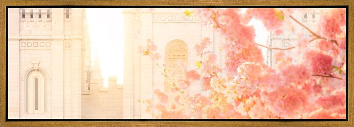Salt Lake Blossom Glow